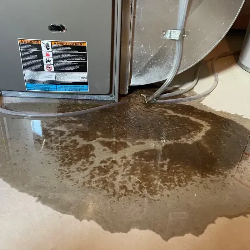 Appliance Leak Cleanup in Newport News, VA